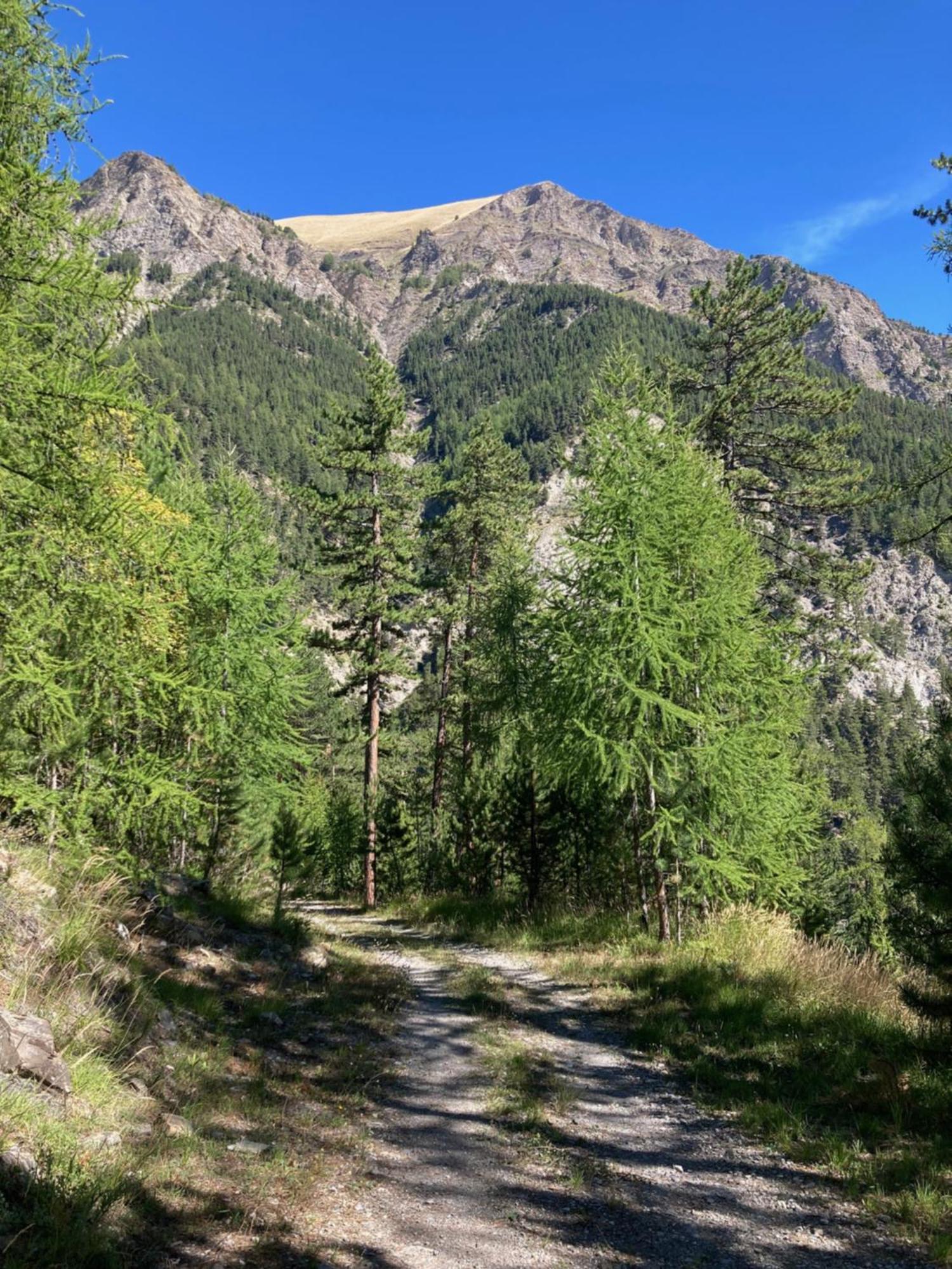 Les Melezes 1 Studio Barcelonnette Luaran gambar